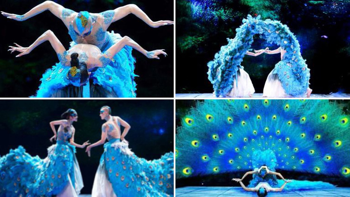 ��ȸ֮�١��赸��(ji��)Ŀ-3