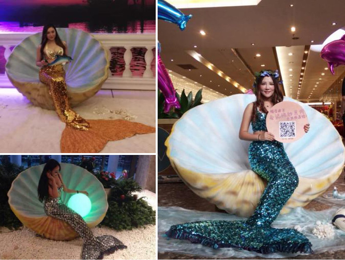 �V���ݳ���(ji��)Ŀ��(j��ng)�o(j��)��˾