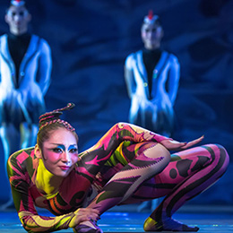 �V�����g(sh��)�ݳ���˾