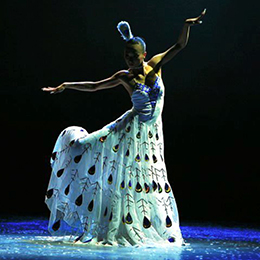 �V���ݳ���˾���ݳ���(j��ng)�o����ˇ��(j��ng)�o����(ji��)Ŀ���ݽ�(j��ng)�o