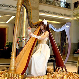 �V���Q�ٱ��ݹ�˾