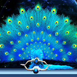 �V��ȸ֮�ٱ��ݹ�˾