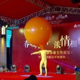 �V��ħ�g���o��˾,�V���s�����o��˾