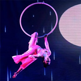 �V��ħ�g�ݳ����o��˾,�V���s���ݳ����o��˾