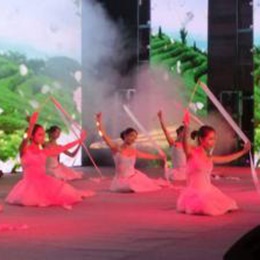 �V���赸��ˇ��(j��ng)�o(j��)��˾