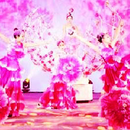 �ݳ���ˇ��(ji��)Ŀ,���(d��ng)���ݹ�(ji��)Ŀ,�ݳ���(j��ng)�o(j��)